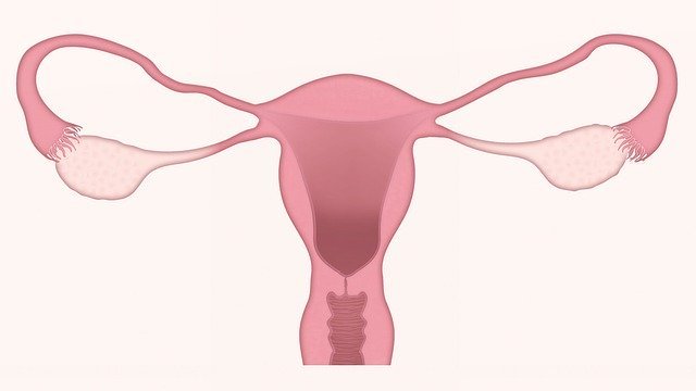 Types of Vaginal Discharge: Causes & Care - Embry Women's Health
