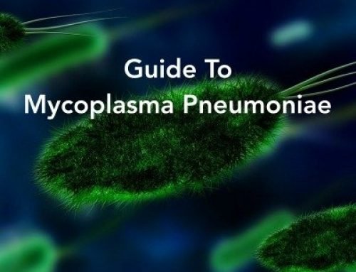 Your Handy Guide To Mycoplasma Pneumoniae
