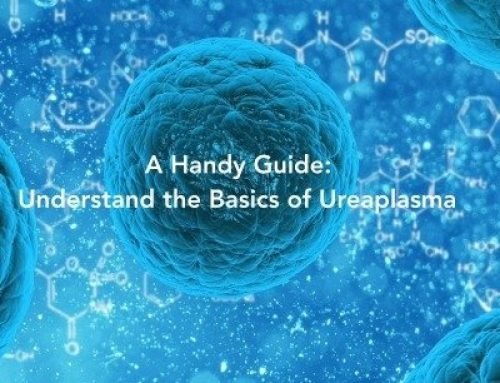 A Handy Guide to Understand the Basics of Ureaplasma